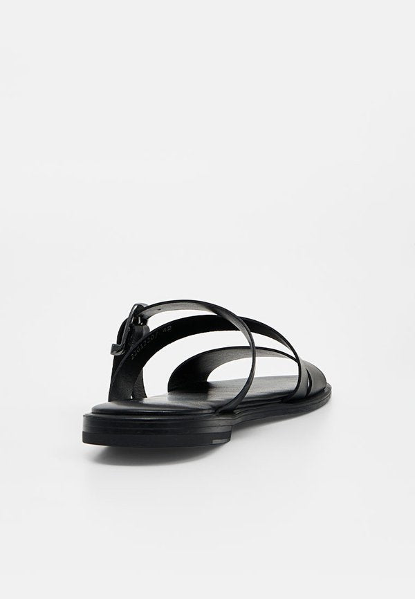 AIGNER NOEL