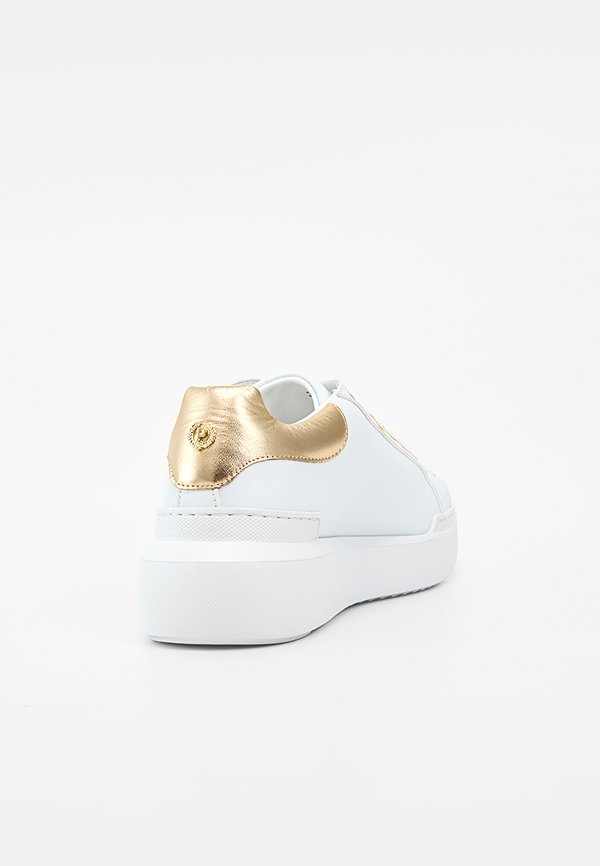 Pollini NUKE