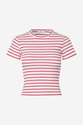Envii ALLY CROP TEE