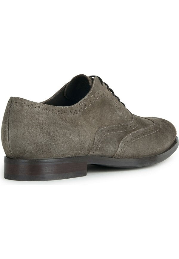 Geox U HAMPSTEAD