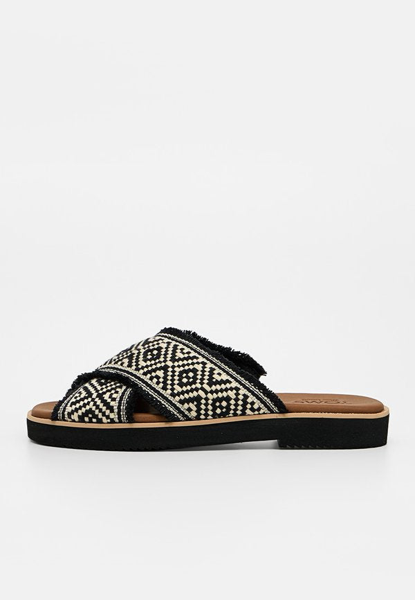 TOMS MAE