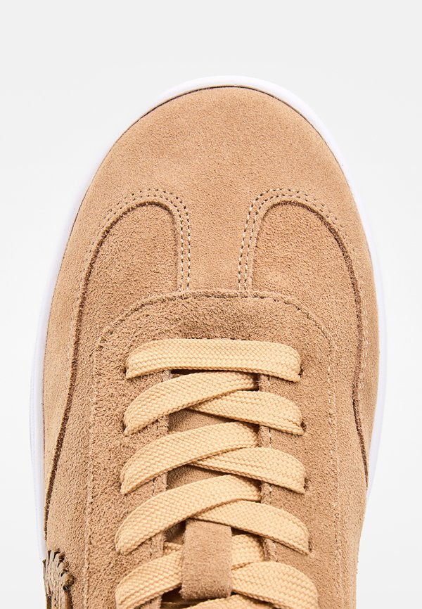 Pollini