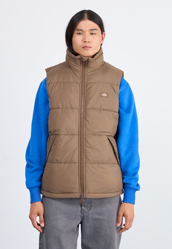 Dickies WALDENBURG VEST