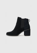 TOMS EVELYN