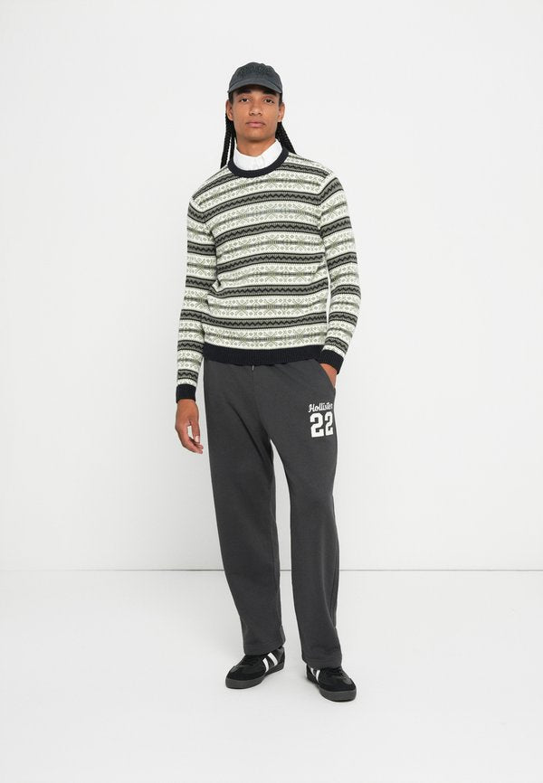 Hollister Co. BAGGY LOGO