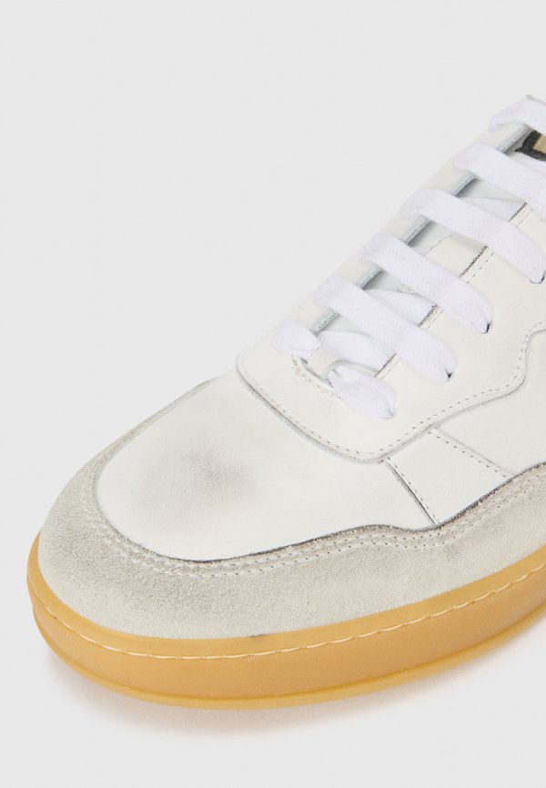Pollini