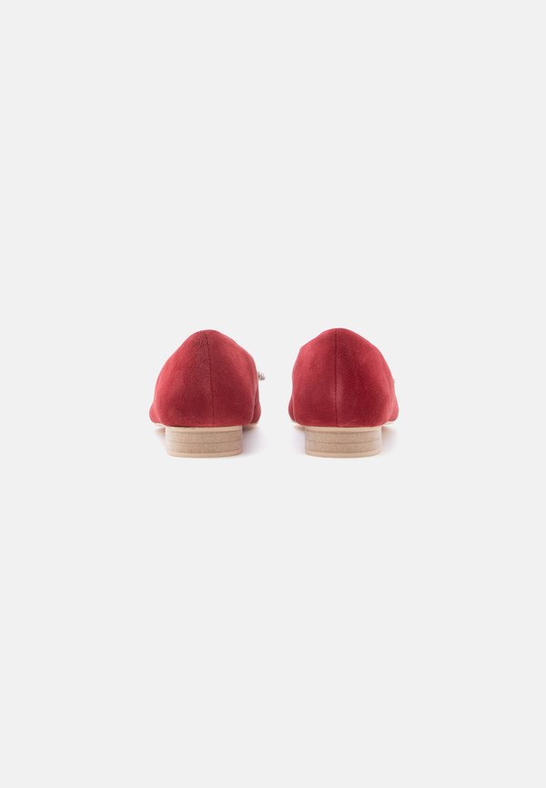 Anna Field by Zalando LEATHER