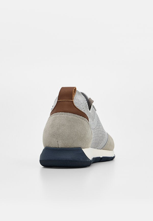 Pollini