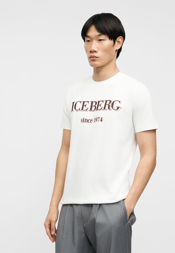Iceberg