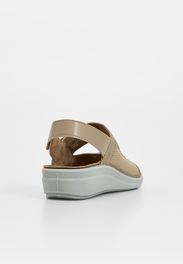 Scholl ANTONIA