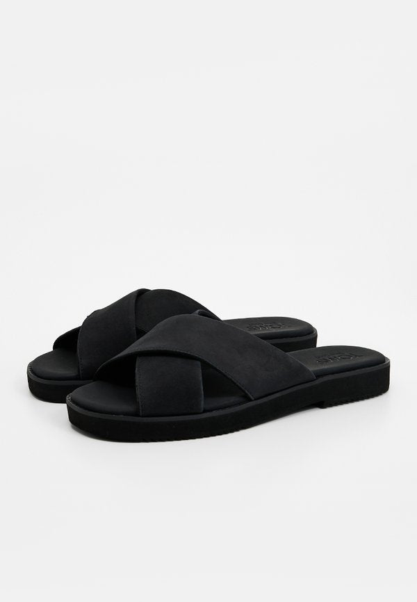TOMS MAE