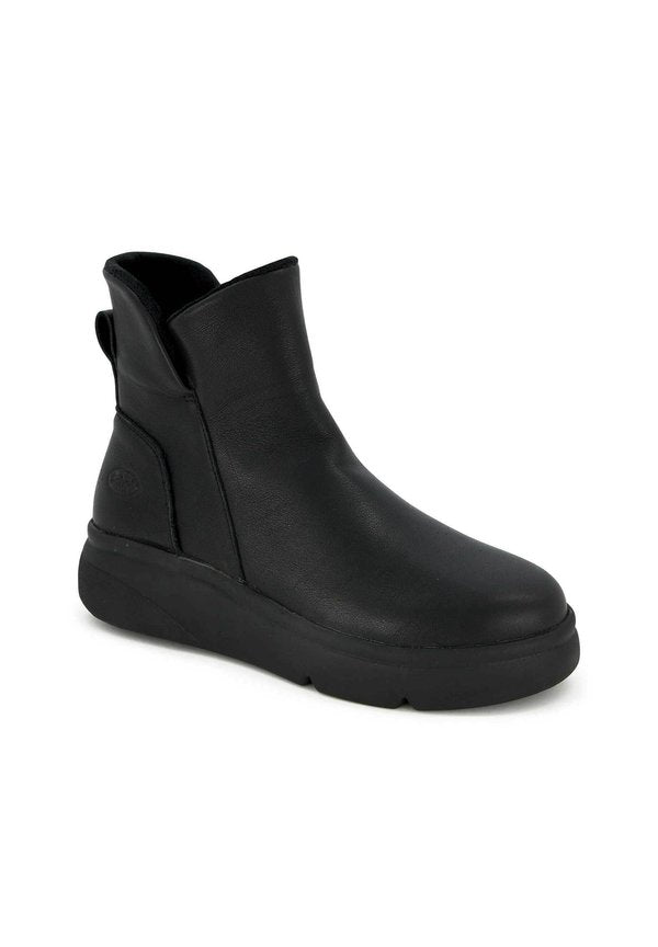 Scholl