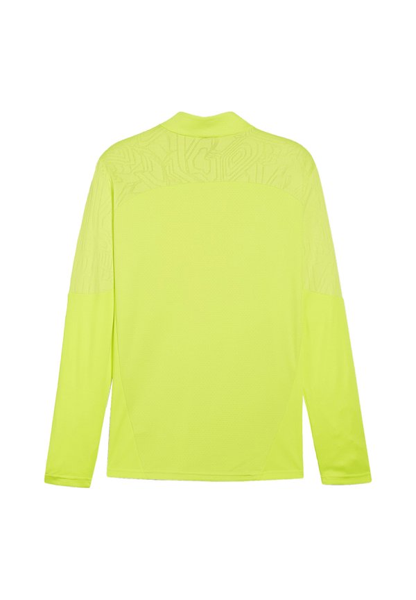 Puma TEAMFINAL TRAINING 1/4 ZIP