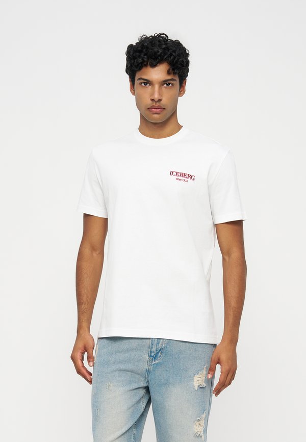 Iceberg