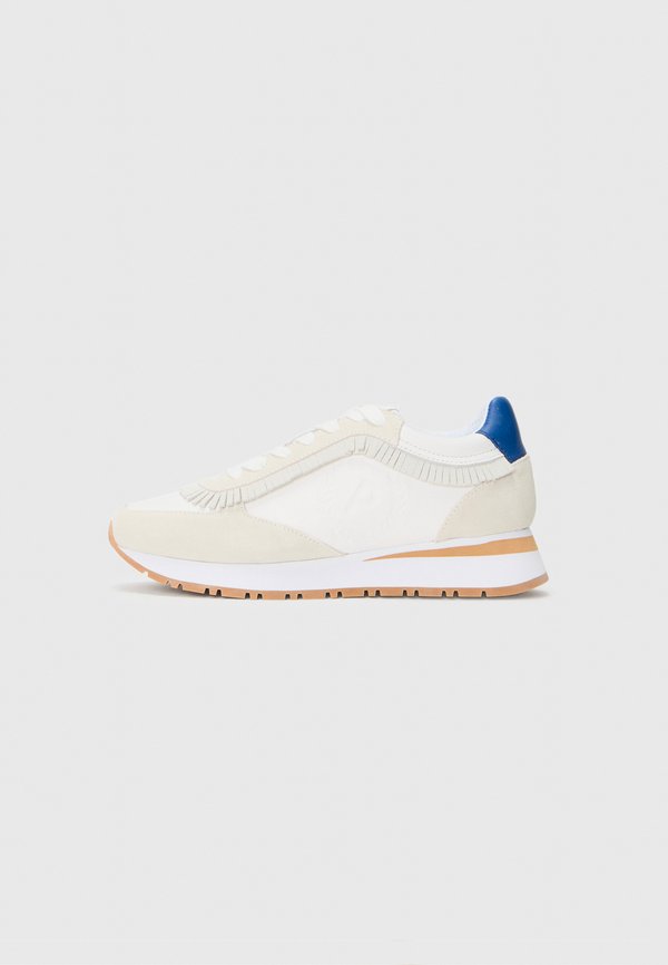 Pollini