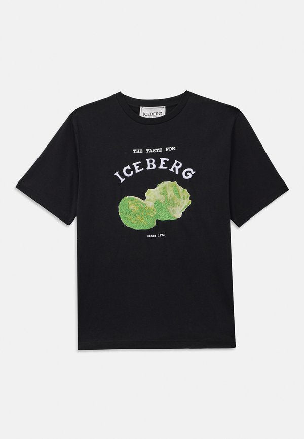 Iceberg