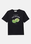 Iceberg