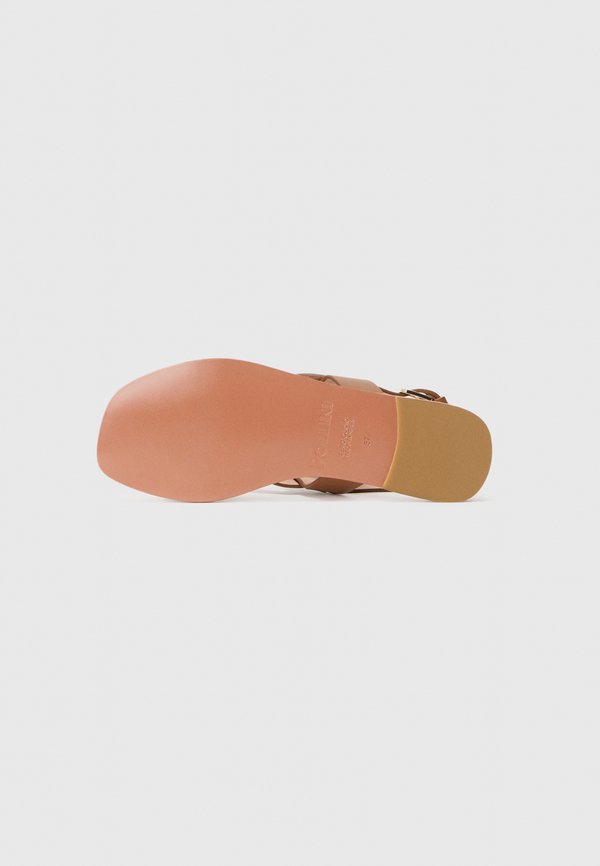 Pollini