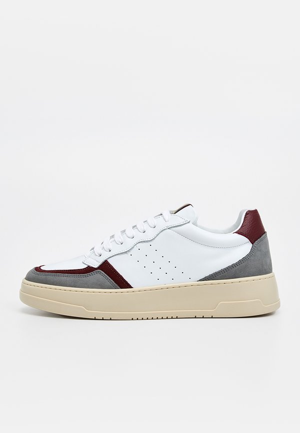 Pollini
