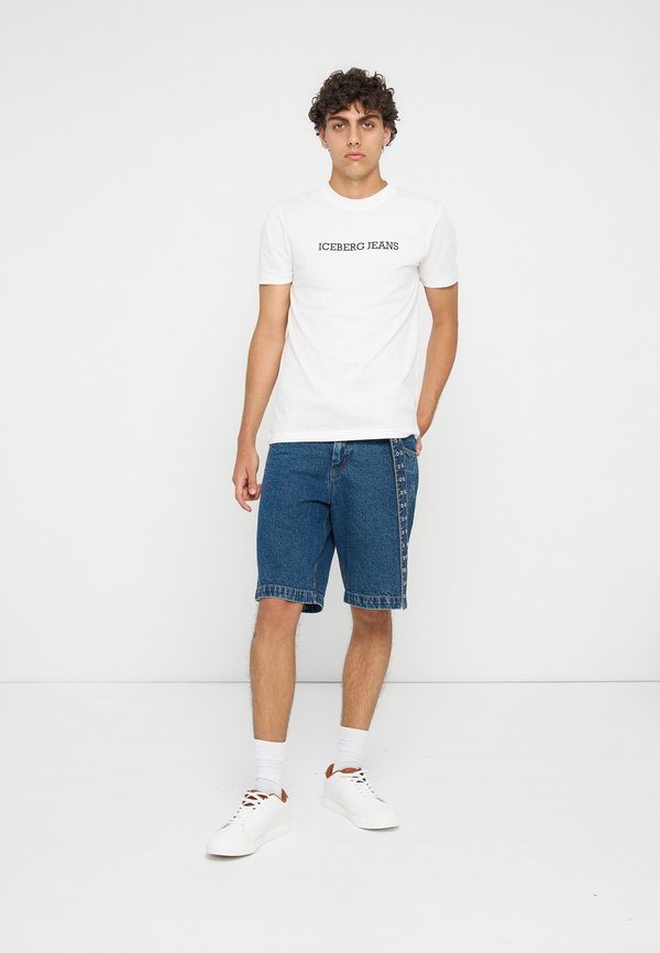 Iceberg
