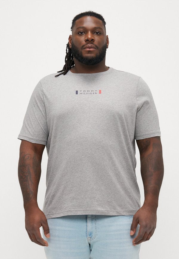 Tommy Hilfiger BRAND LOVE SMALL CENTER TEE