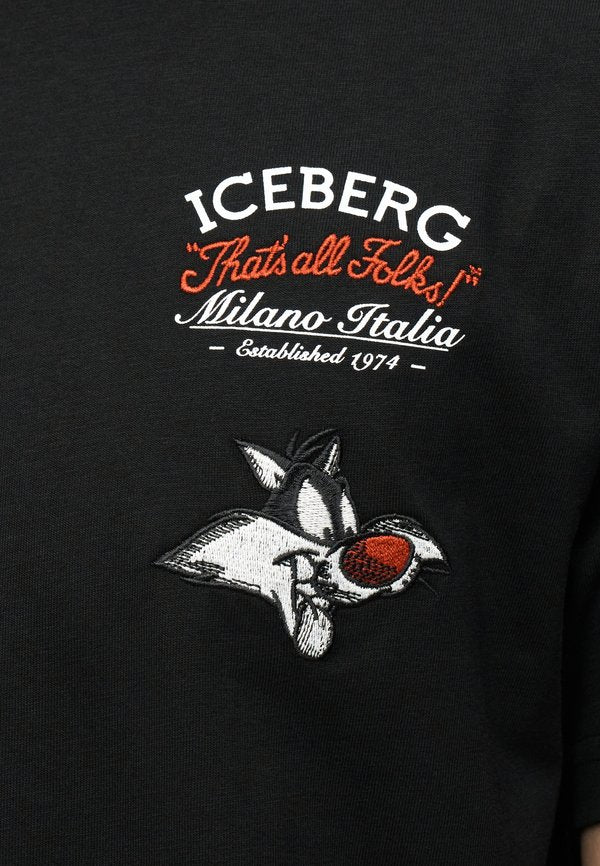 Iceberg