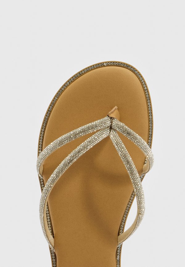 Steve Madden KYLOE