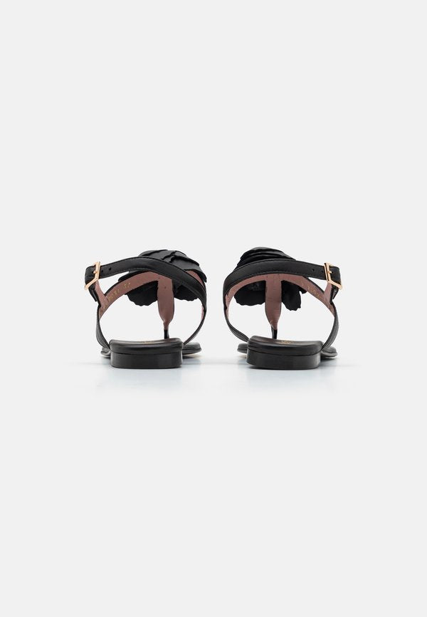 Pretty Ballerinas JUDY