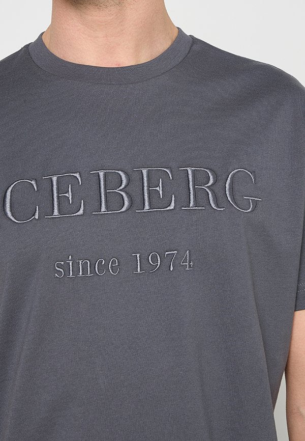 Iceberg