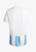 adidas Performance ADIDAS PERFORMANCE STRIPED 24 JERSEY - Football jersey - team light blue   white   white