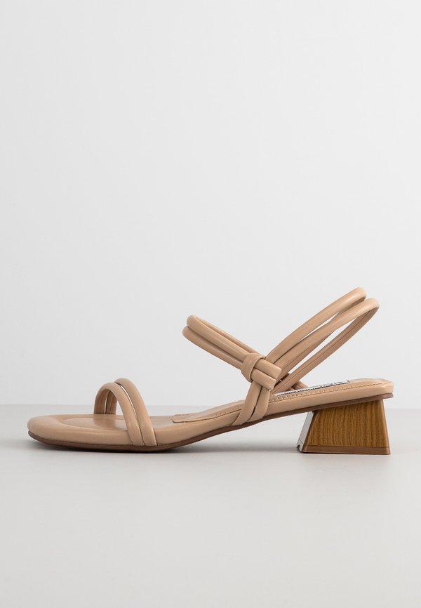 Steve Madden ENSURE