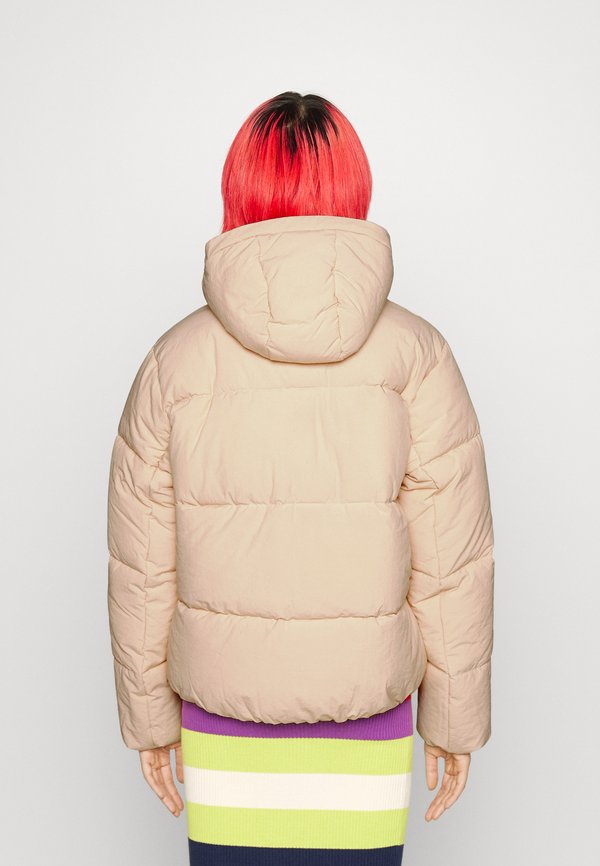 Champion Rochester HOODED JACKET