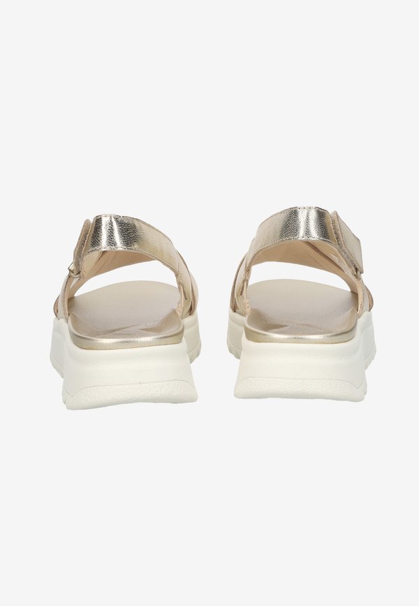 Clarks Originals  DASHLITE WISH