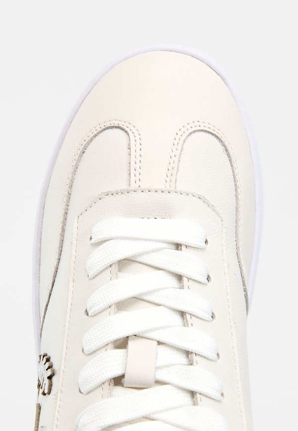 Pollini