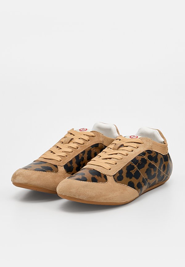 Pollini
