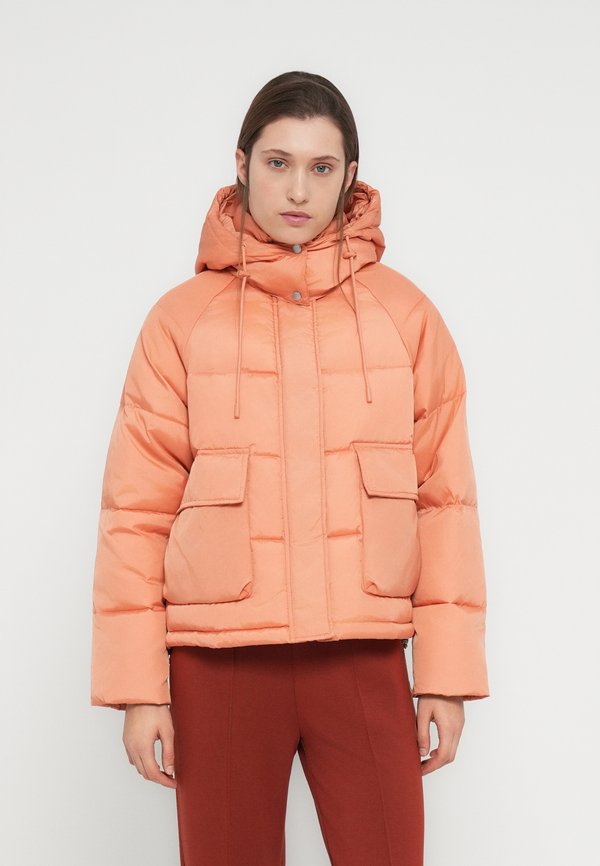 Scotch & Soda