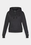 Champion ICONS TONAL HOODIE SWEATSHIRT WITH BIG LOGO
