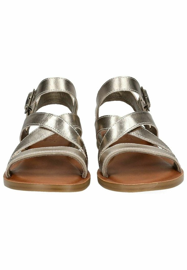 TOMS