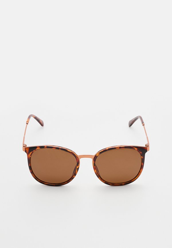 Spect Eyewear MYRA