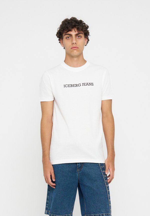 Iceberg
