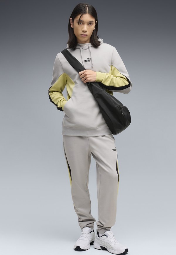 Puma ESSENTIALS COLOURBLOCK HOODIE UNISEX - Hoodie - gray echo