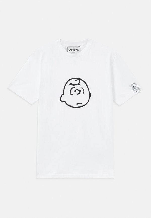 Iceberg