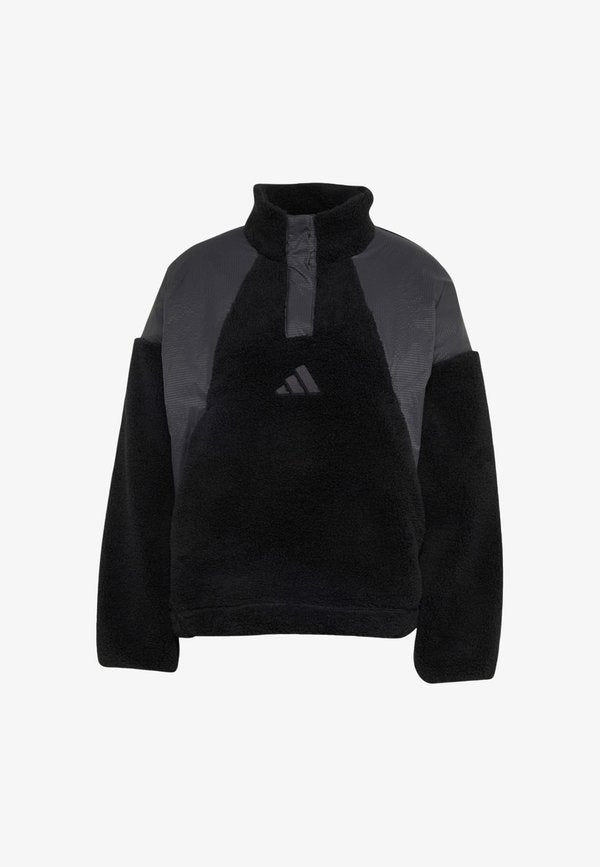 adidas Sportswear ADIDAS SPORTSWEAR TERREX XPLORIC CLIMAWARM HIGH PILE SNAP PULLOVER - Fleece jumper - black