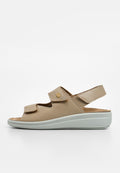 Scholl ANTONIA