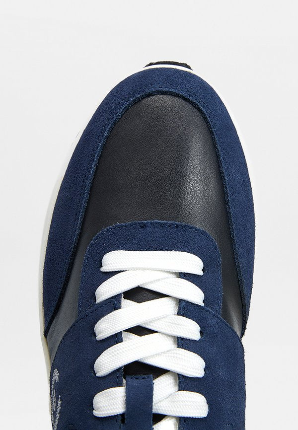 Pollini