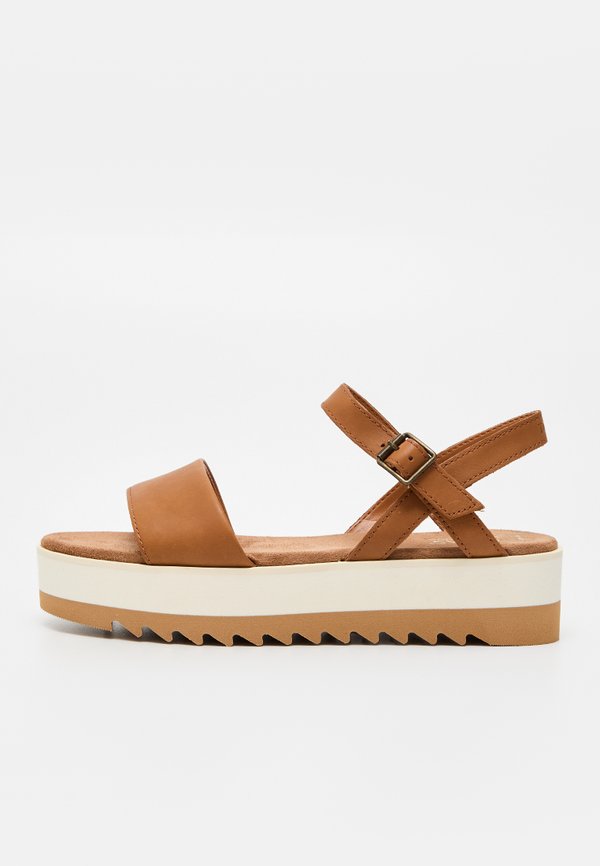 TOMS BRYNN