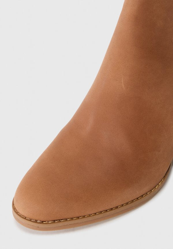 TOMS NOA