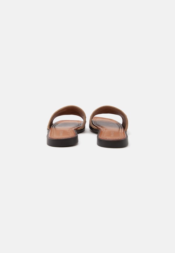 Anna Field by Zalando LEATHER