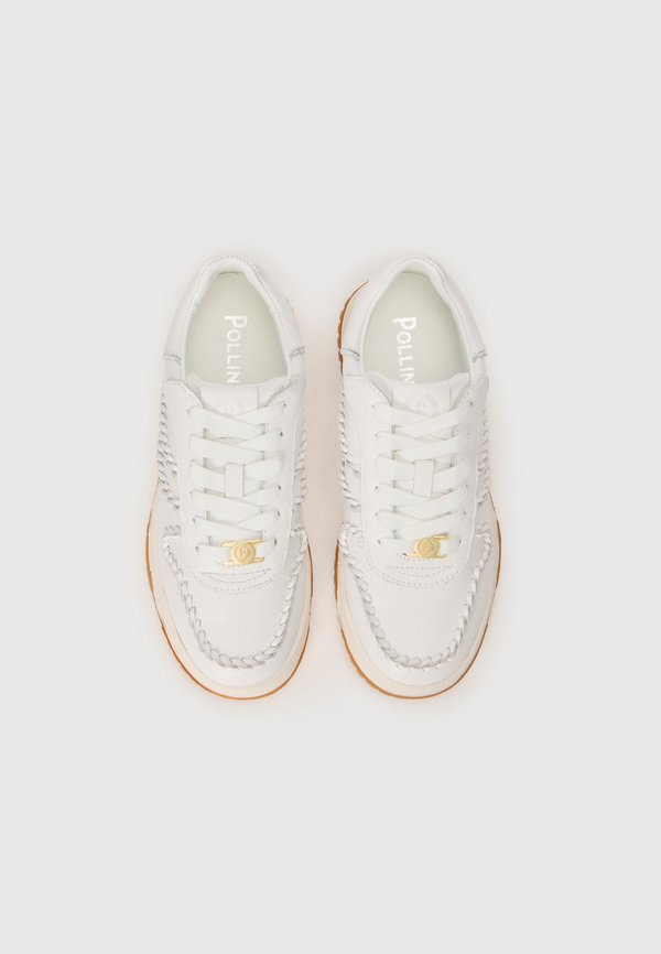 Pollini