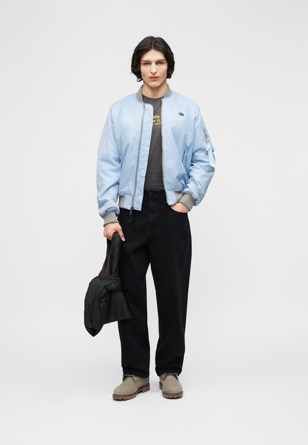 Alpha Industries WORLD LOGO